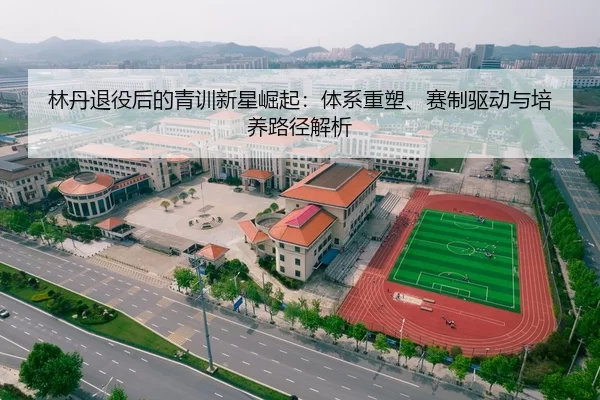 林丹退役后的青训新星崛起：体系重塑、赛制驱动与培养路径解析